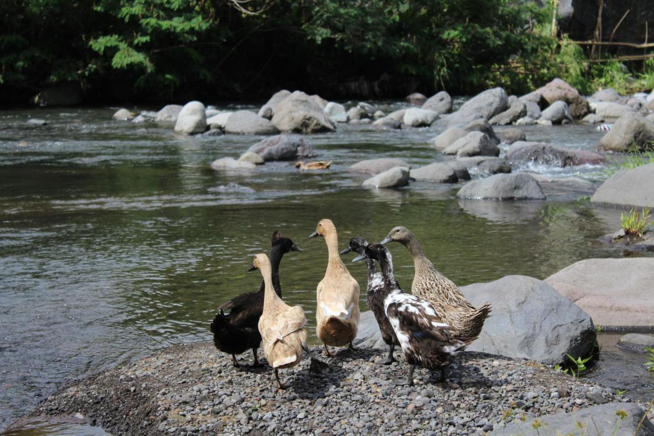 Pondok Tepi Sungai Sidemen  Kültér fotó
