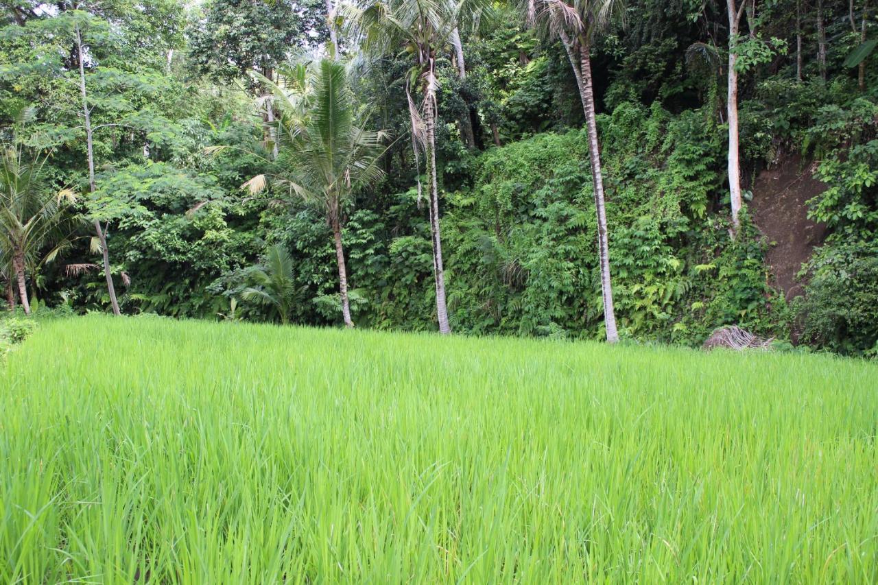 Pondok Tepi Sungai Sidemen  Kültér fotó